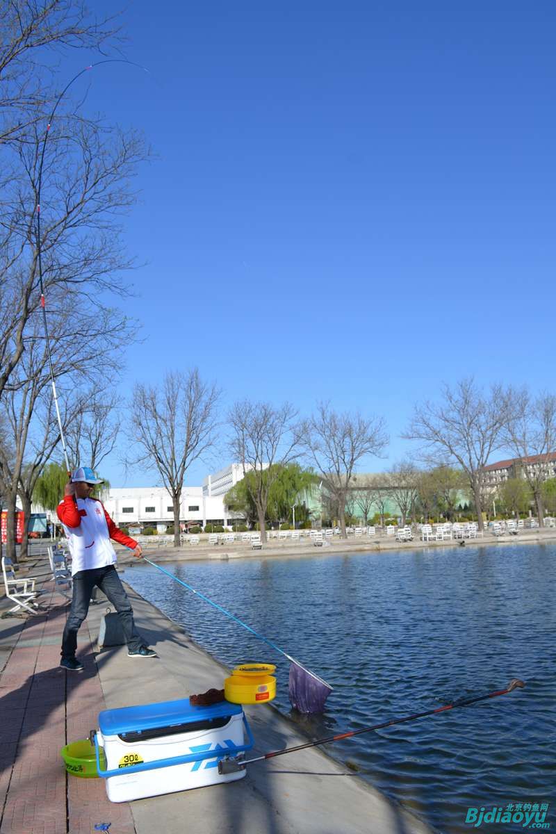 京钓网最新池塘广告，垂钓乐趣的新天地探索