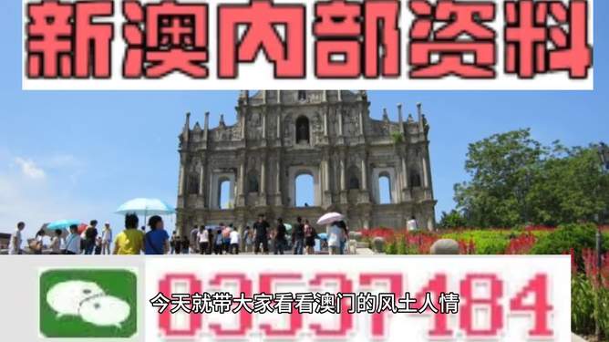 新澳2024正版资料免费公开｜实地解释定义解答