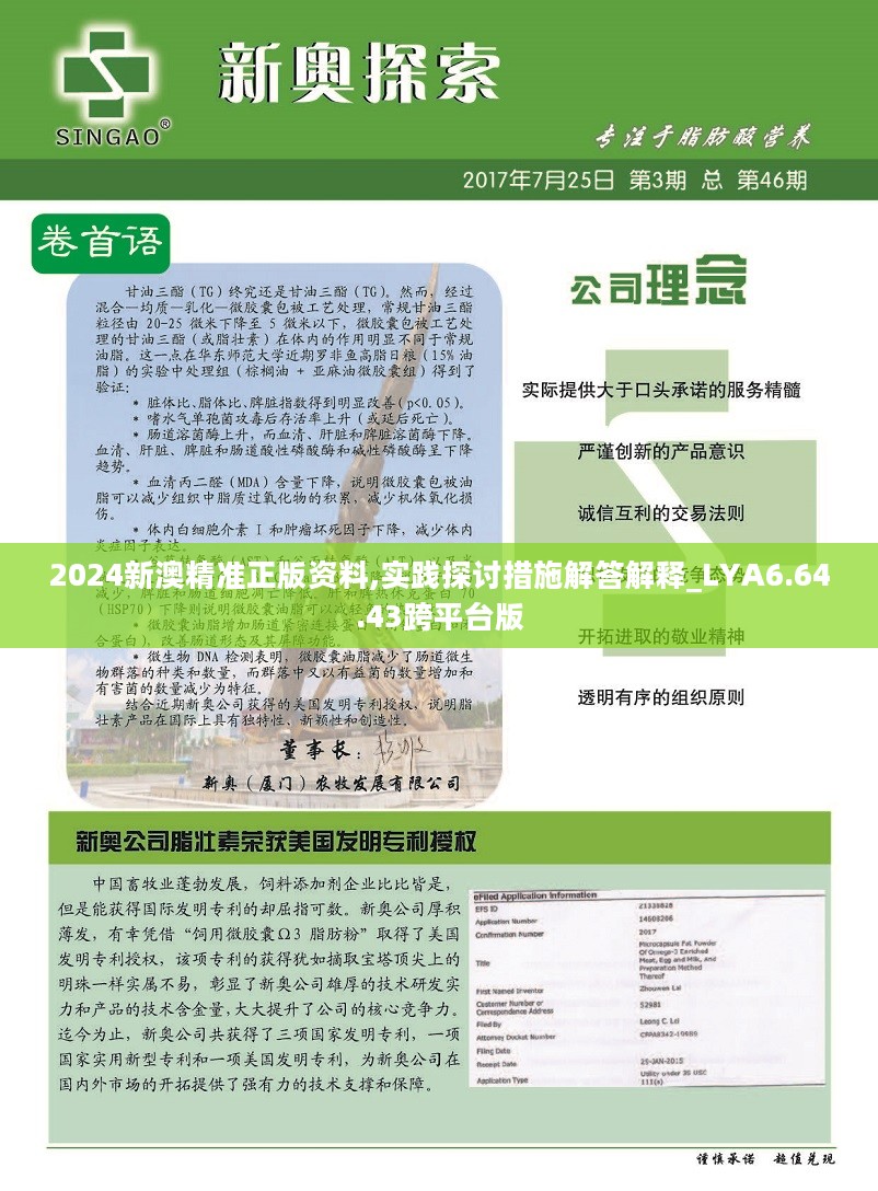 新澳2024年精准资料｜准确资料解释落实