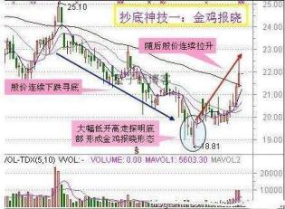 白小姐今晚特马期期准金｜实用技巧与详细解析