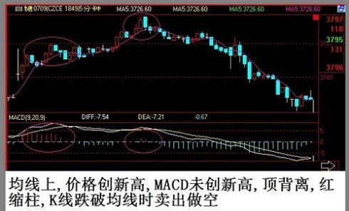 49.ccm澳彩资料图｜实用技巧与详细解析