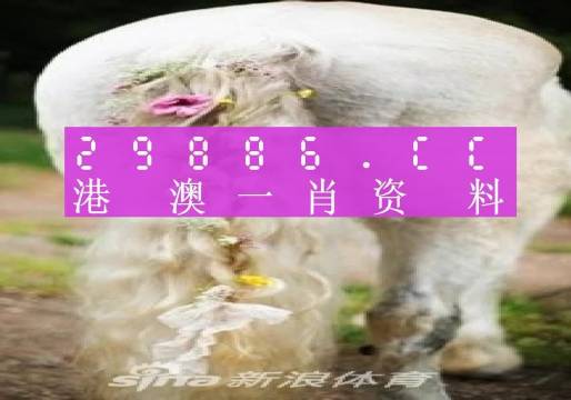 澳门一肖一码一一特一中厂i,科学分析解释定义_V42.957