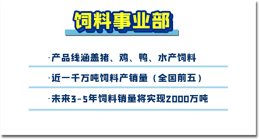 最新兽医招聘趋势，行业需求、前景展望与职业发展路径