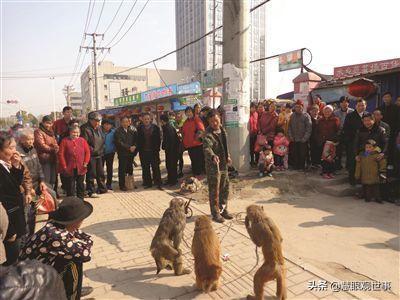 侯卫东官场笔记最新章节深度解读与剖析