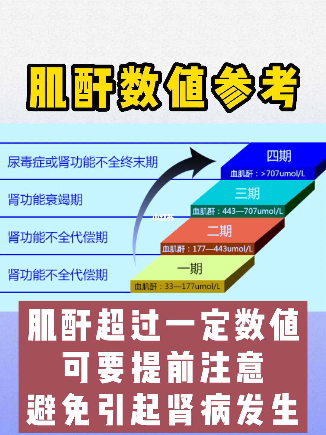 肌酐正常值最新标准2022，了解与关注的重要性