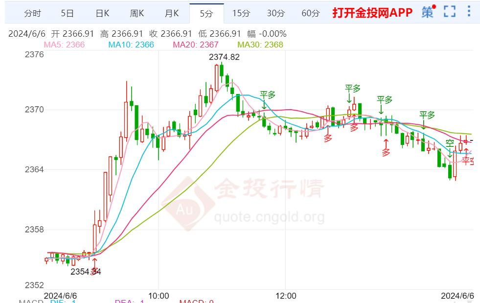 最新金价分析与展望