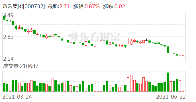 泰禾集团股票最新消息全面解读与分析