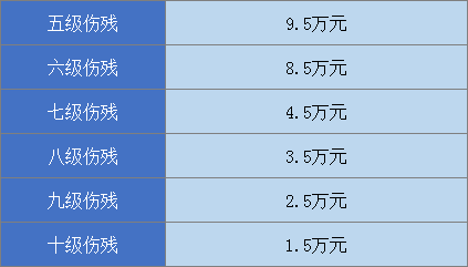 最新伤残标准深度解读及应用指南