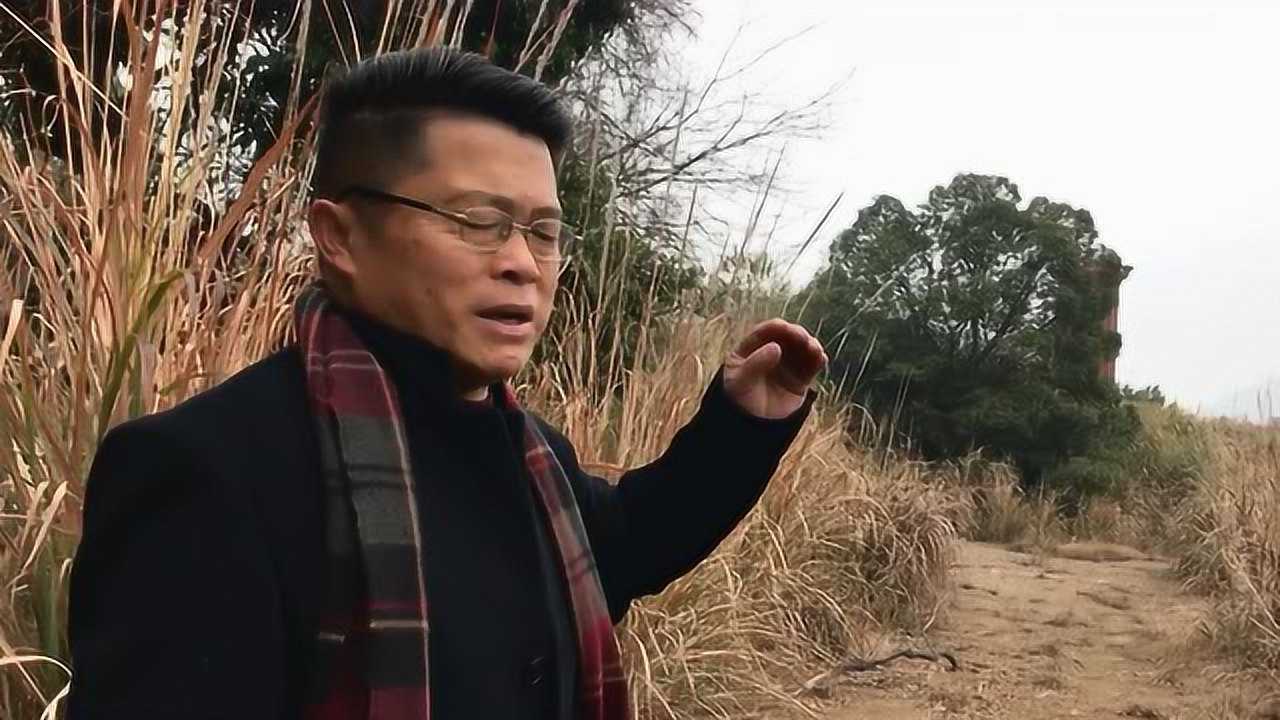 张子诚才艺展示，魅力无限，潜力无限的新视频揭秘！