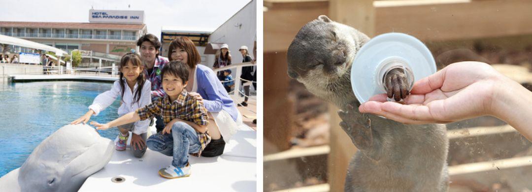 深海水族馆最新版，开启神秘海洋新纪元探索之旅