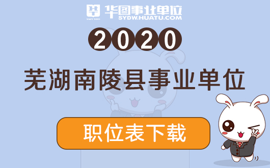 南陵招聘网最新招聘动态深度解读与分析